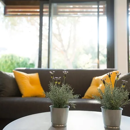 Pause Lumineuse - Terrasse - Pkg - Coeur Historique Appartement
